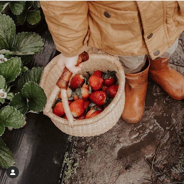 Natural Round basket: Large