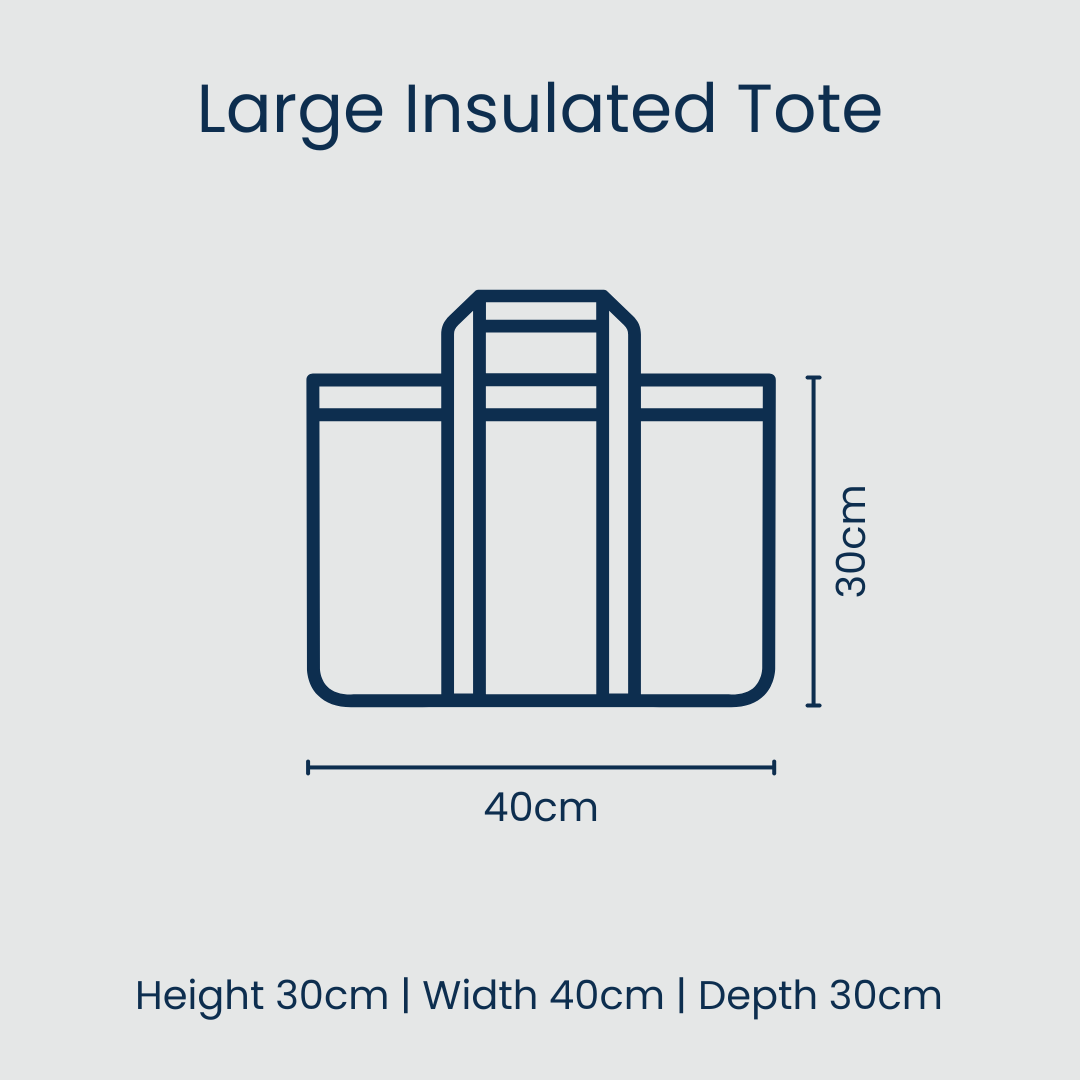 Red Blue Stripe Large Insulated Tote