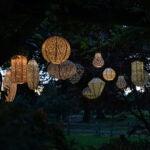 Lumiz Solar Lantern Tulip Bazaar 20cm Sage