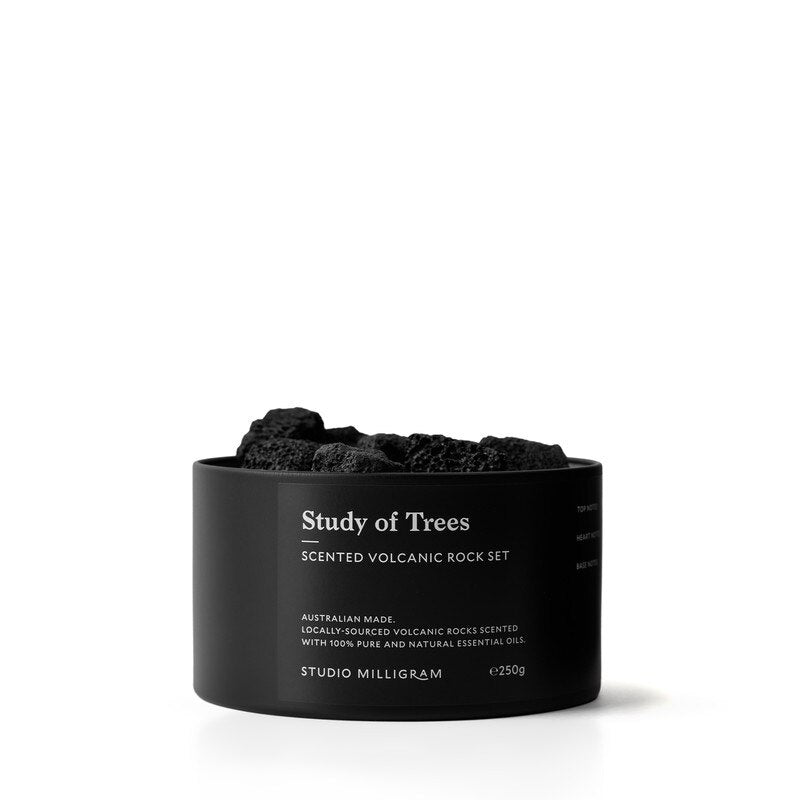 Scented Volcanic Rock Set Study Of Trees - Gateway Gifts