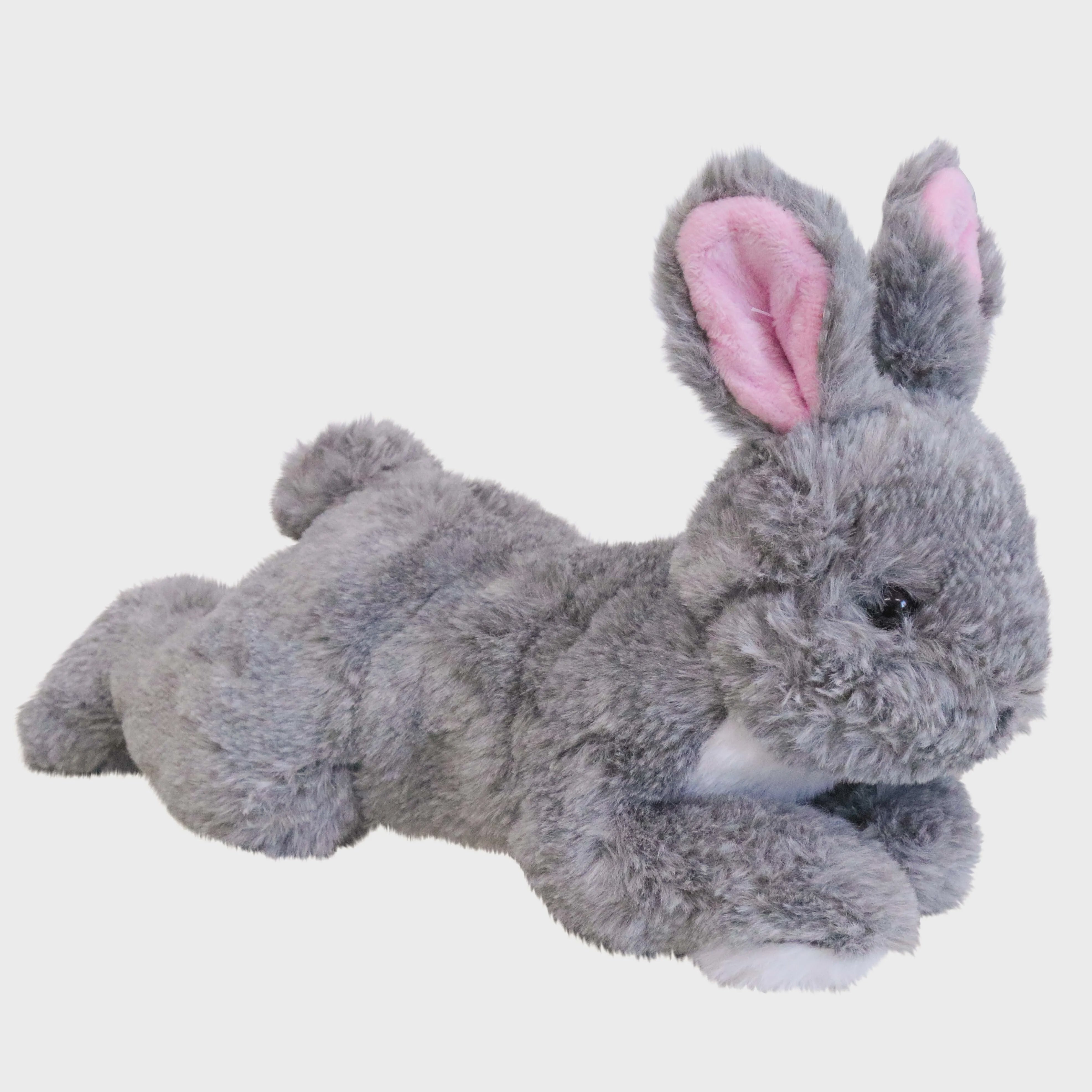 Grey Belly Bunny