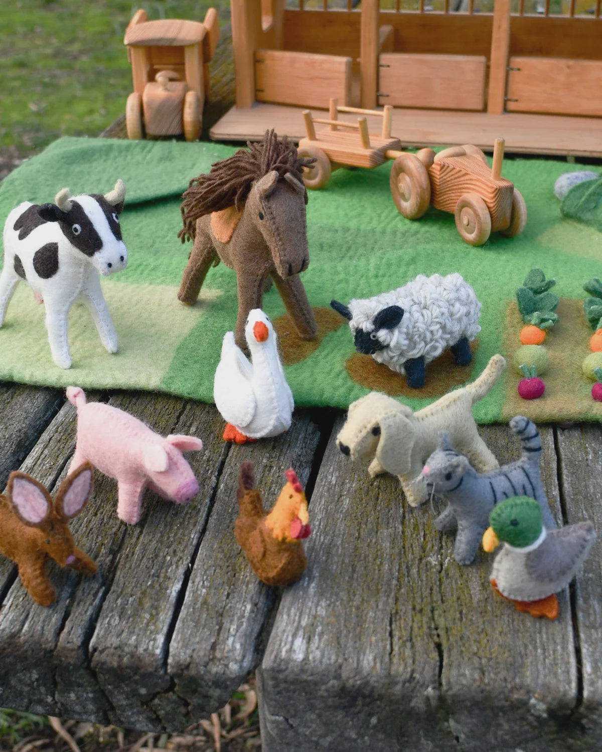 Farm Animals Set 10