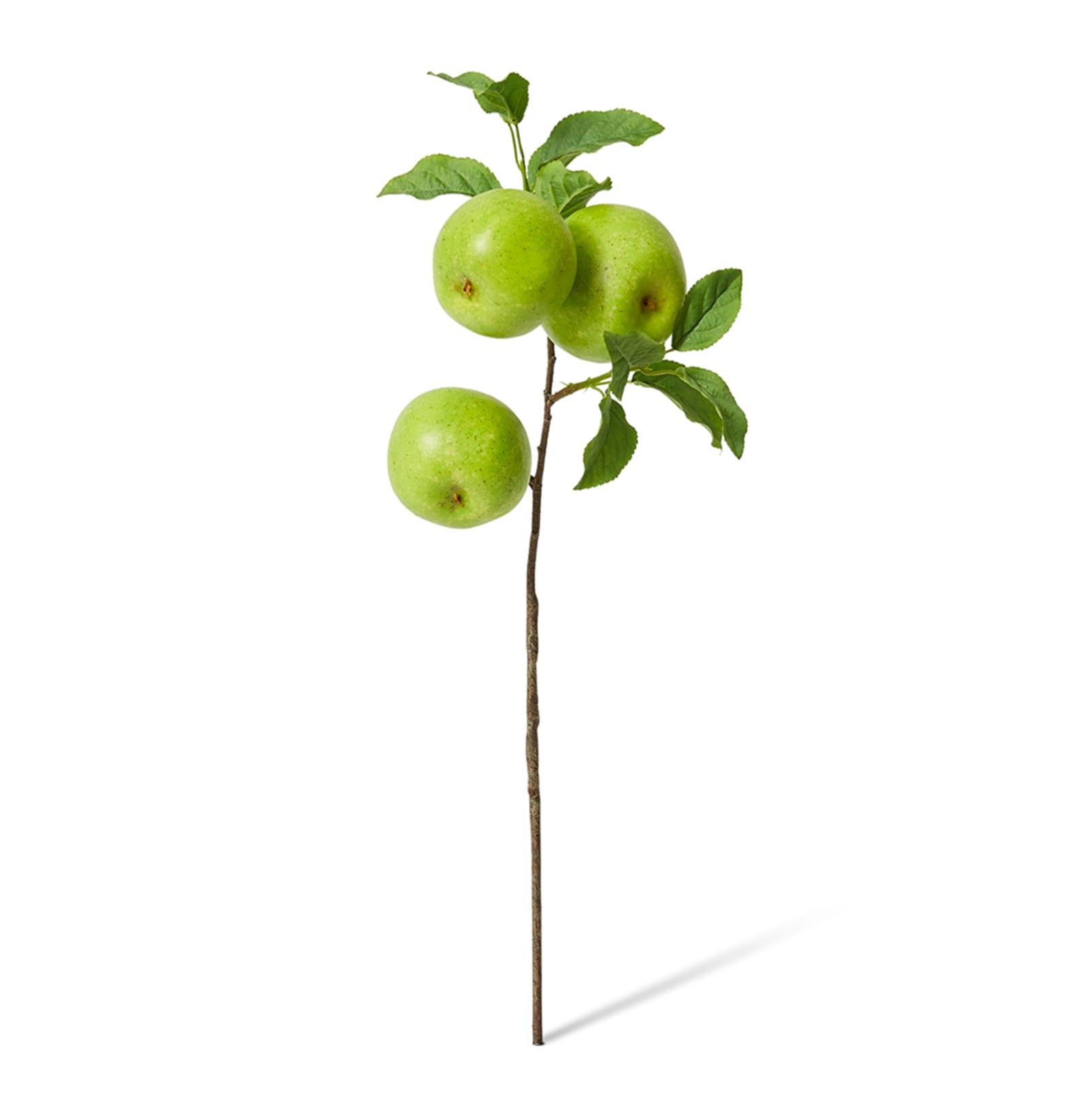 Green Apple Branch Spray