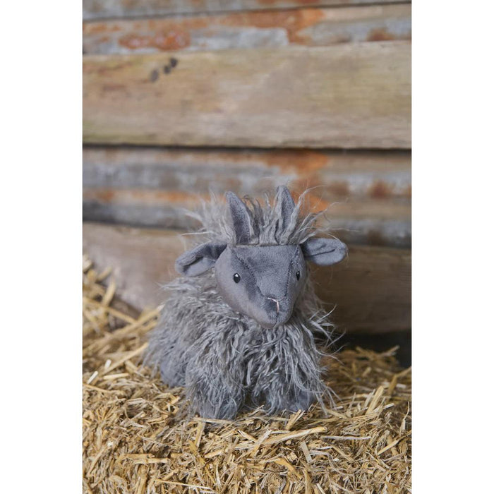 Aiden The Angora Goat