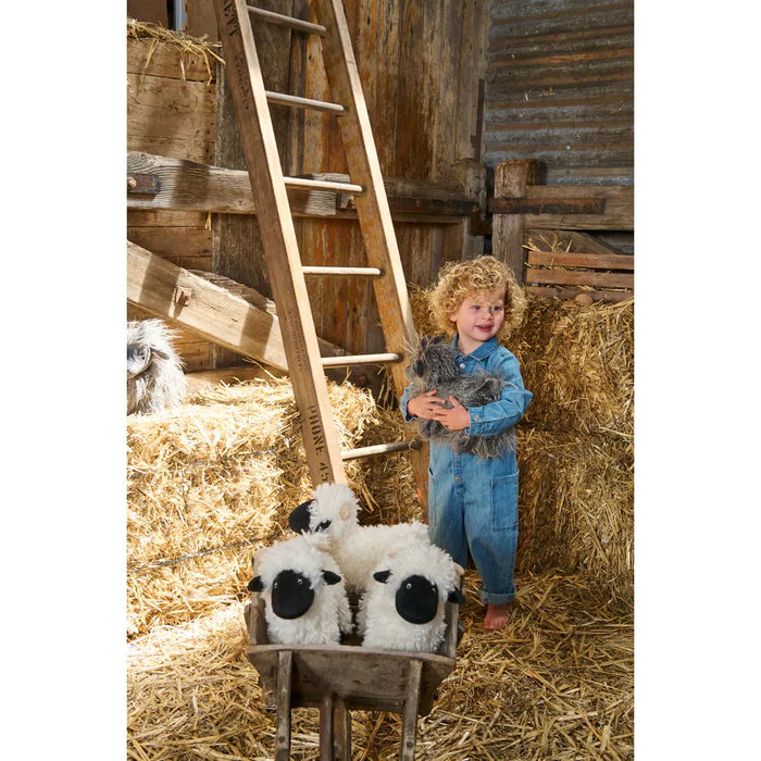 Aiden The Angora Goat